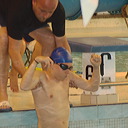 championnat12_05_07-055